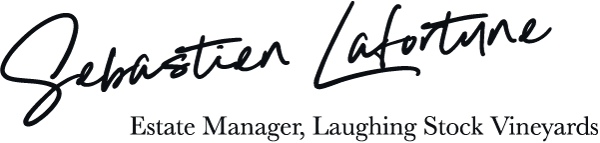 Sebastien Lafortune Signature