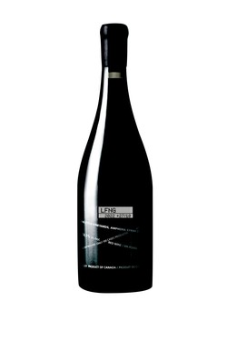 Amphora Syrah 2022